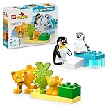 LEGO DUPLO Wildtier-Familien: Pinguine und Löwen – Spielzeug zur Förderung der Feinmotorik für Mädchen & Jungen ab 2 Jahren – Lernspielzeug für Kleinkinder mit 4 Tierfiguren – Geschenkidee – 10442